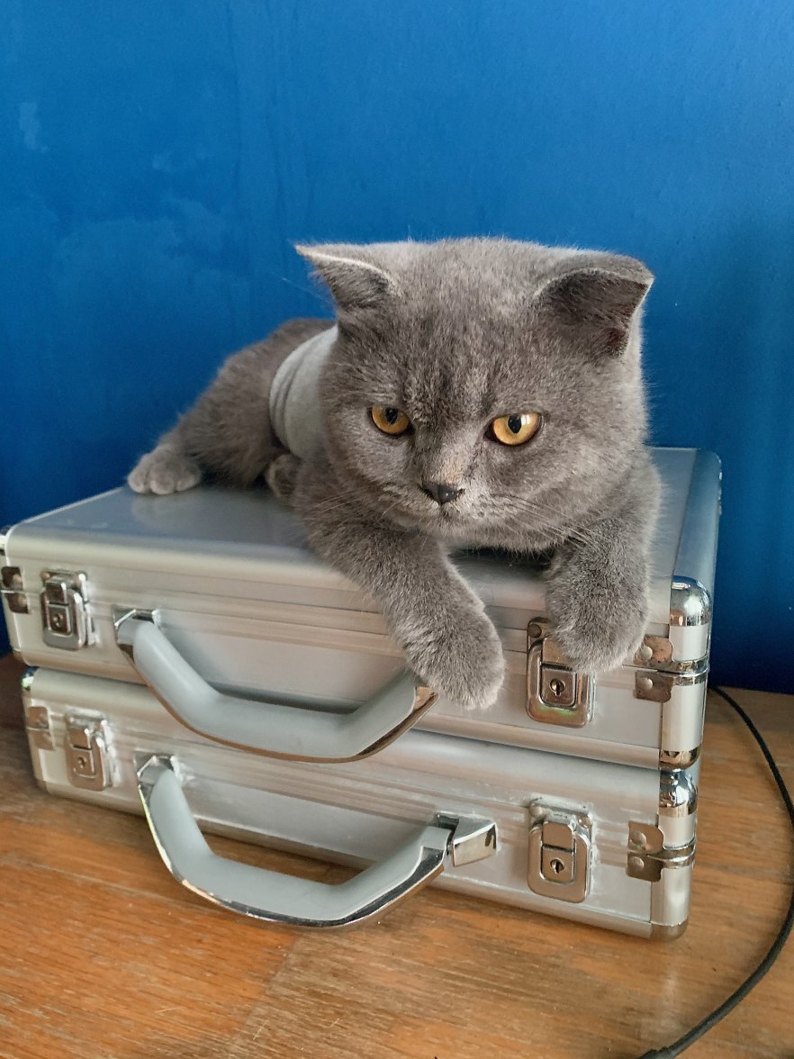 IMG_0426.jpeg IMG_0426.jpeg