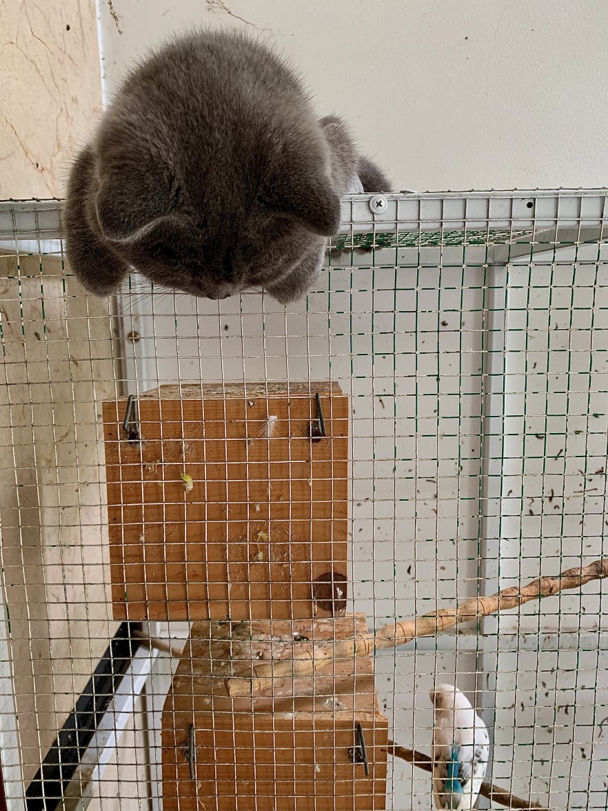 IMG_0492.jpeg IMG_0492.jpeg