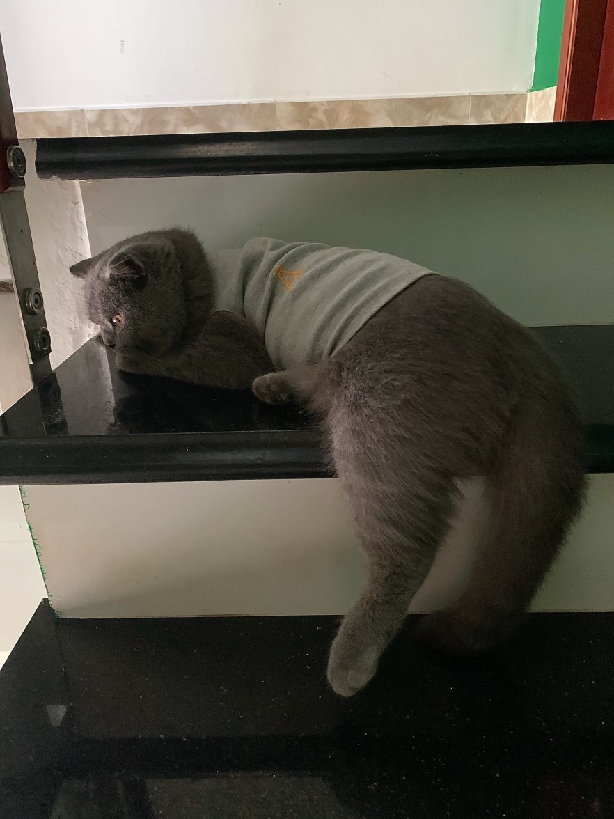 IMG_0494.jpeg IMG_0494.jpeg