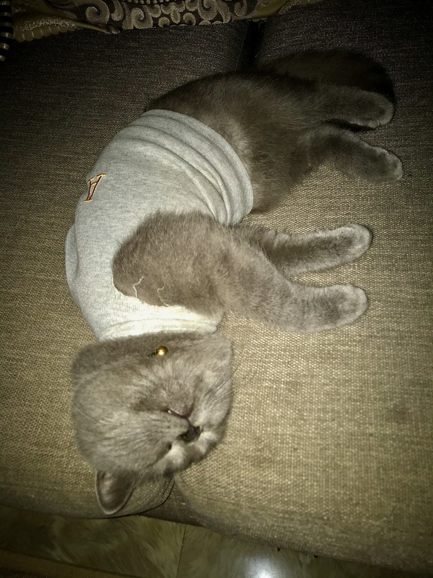 IMG_8524.jpeg IMG_8524.jpeg