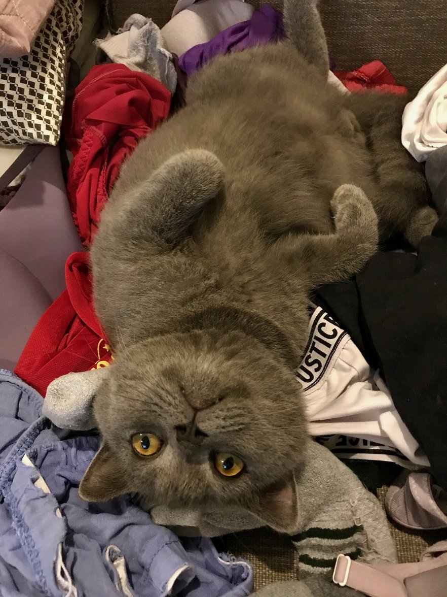 IMG_8568.jpeg IMG_8568.jpeg