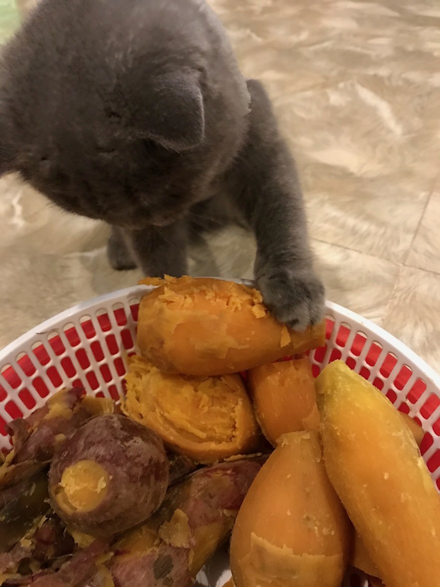 IMG_8572.jpeg IMG_8572.jpeg