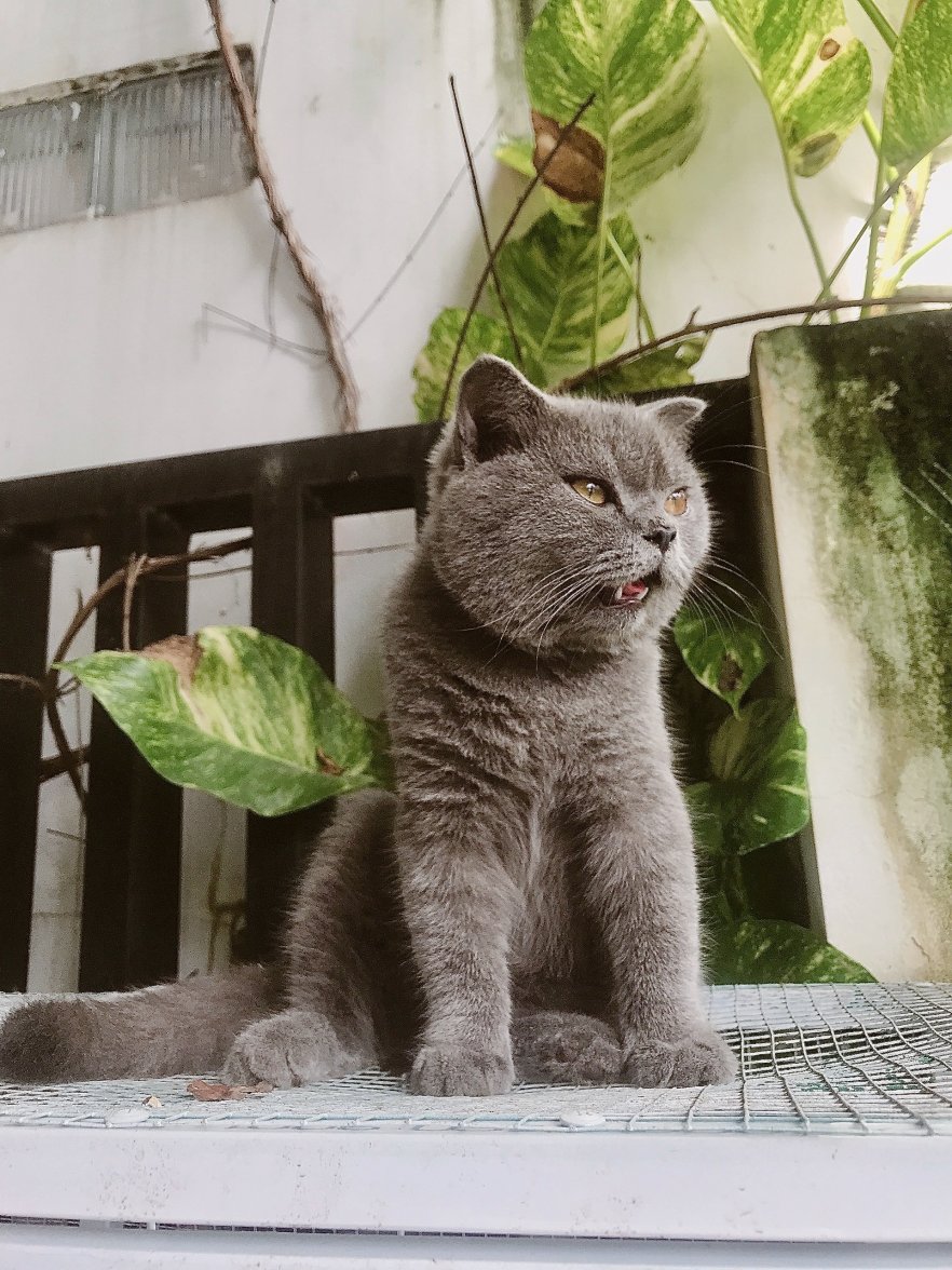 IMG_8635.jpeg IMG_8635.jpeg