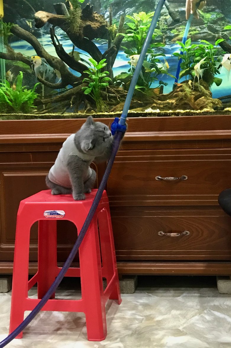 IMG_8668.jpeg IMG_8668.jpeg