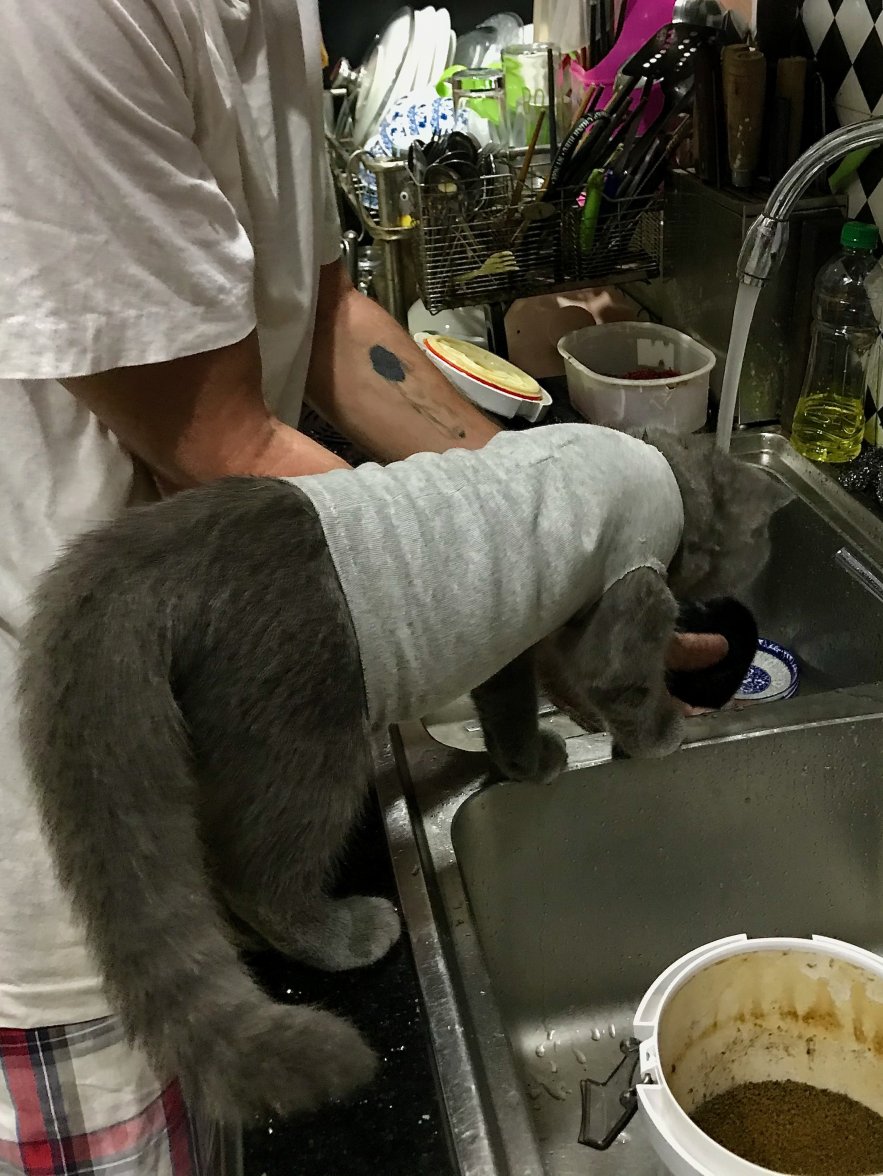 IMG_8674.jpeg IMG_8674.jpeg