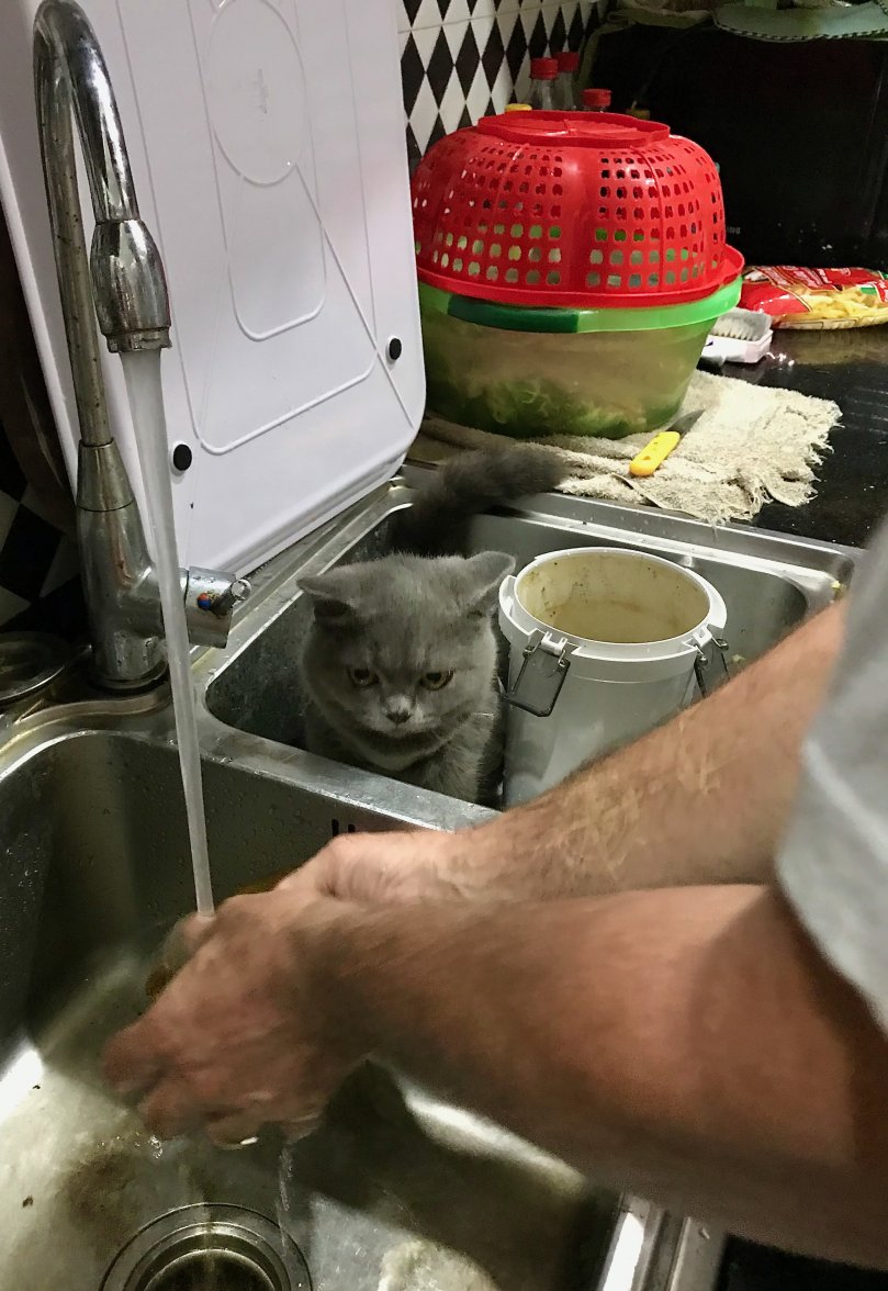 IMG_8679.jpeg IMG_8679.jpeg