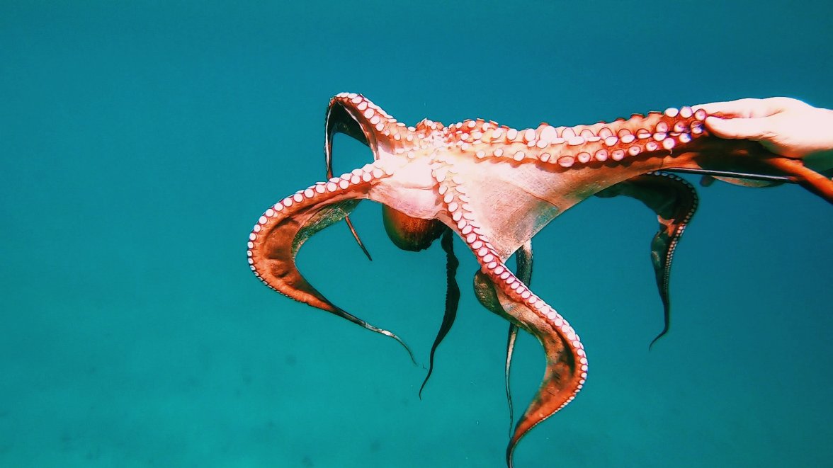 2020-07-30 03.03.48 1.jpg