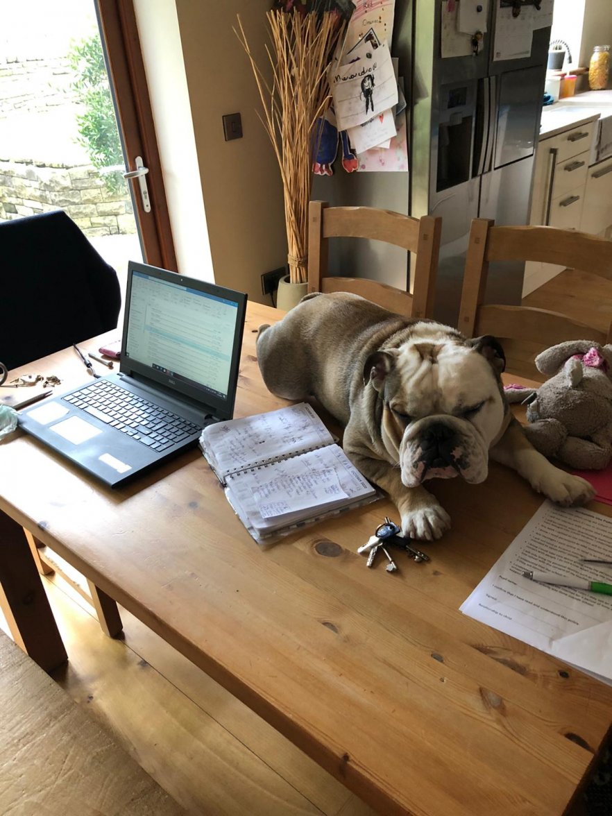 96B4FFFA-75E1-4A6A-B564-89037EAF053D.jpeg 96B4FFFA-75E1-4A6A-B564-89037EAF053D.jpeg