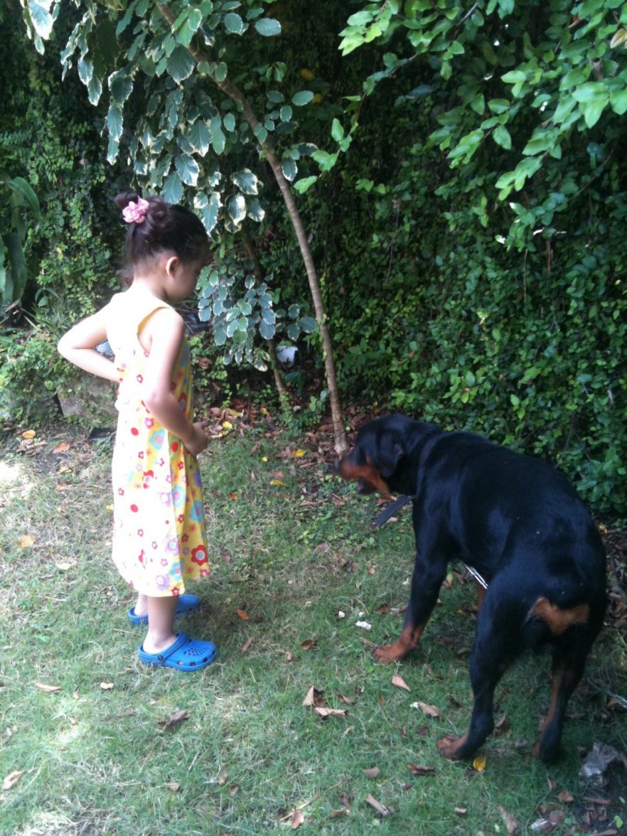 post-4506-0-55736200-1357530087.jpg post-4506-0-55736200-1357530087.jpg