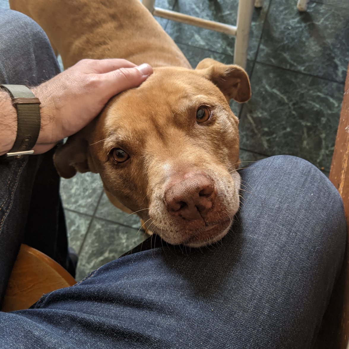 IMG_20201013_130316_420.jpg IMG_20201013_130316_420.jpg