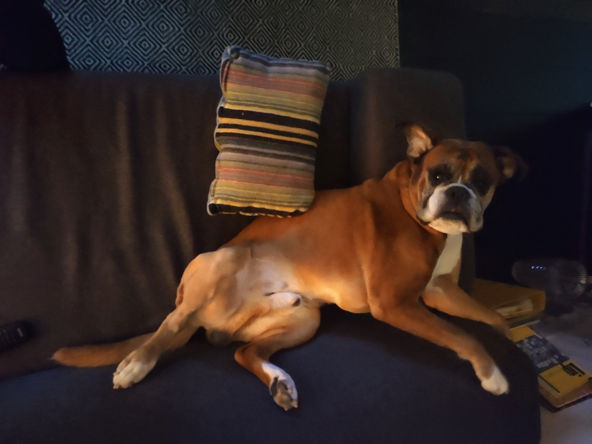 IMG_20201014_184846~2.jpg IMG_20201014_184846~2.jpg