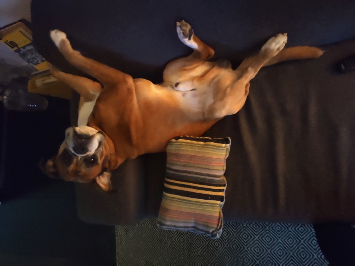 IMG_20201014_184846.jpg IMG_20201014_184846.jpg