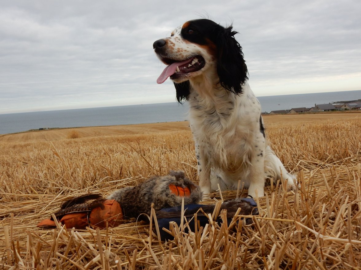 INCA DUMMY TRAINING 6 310820.jpg INCA DUMMY TRAINING 6 310820.jpg