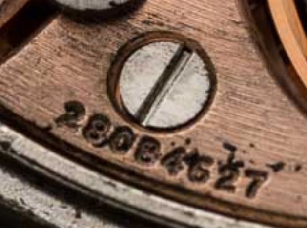 Knipselq.JPG Knipselq.JPG