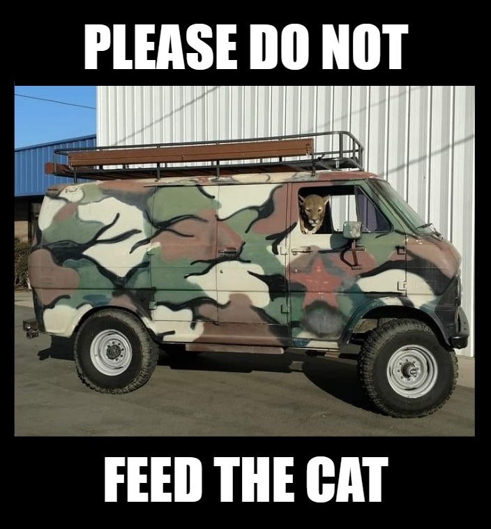 do-not-feed-cat.jpg