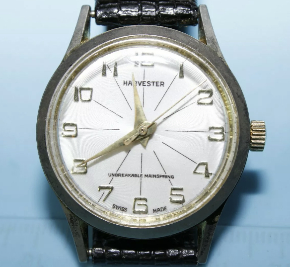 DAFBB54B-05C7-46DD-B0CF-B39E55383EE7.jpeg DAFBB54B-05C7-46DD-B0CF-B39E55383EE7.jpeg