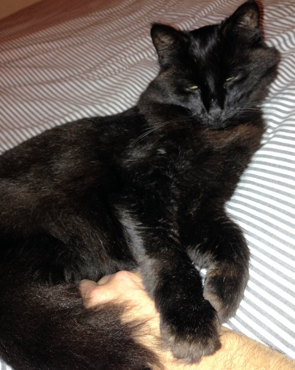 Danger Will  - Copy.jpg