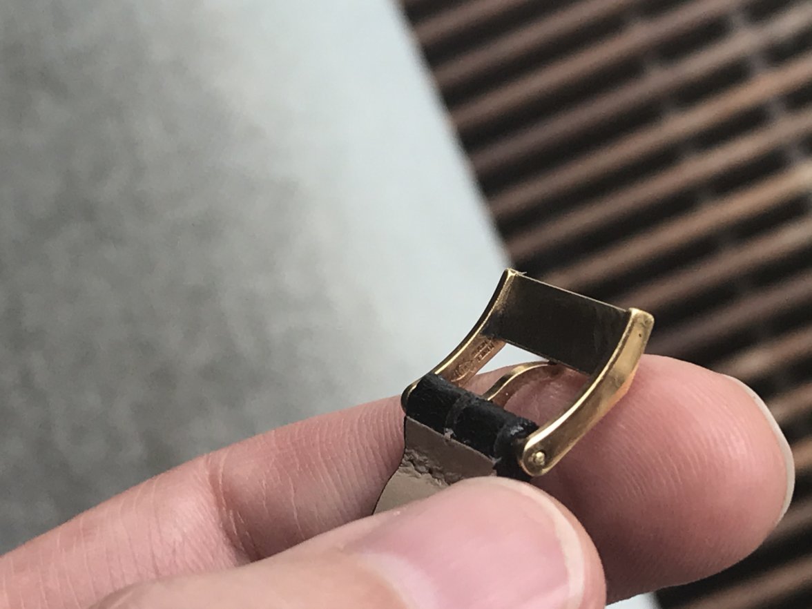 E7510613-68C7-4B9C-BD4D-A1577458CDAE.jpeg E7510613-68C7-4B9C-BD4D-A1577458CDAE.jpeg