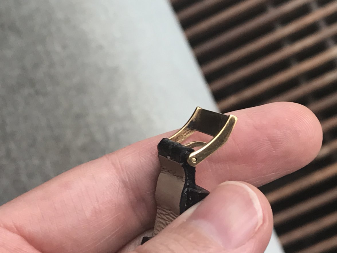 3D63304D-7786-42D3-B037-CD226B93466B.jpeg 3D63304D-7786-42D3-B037-CD226B93466B.jpeg