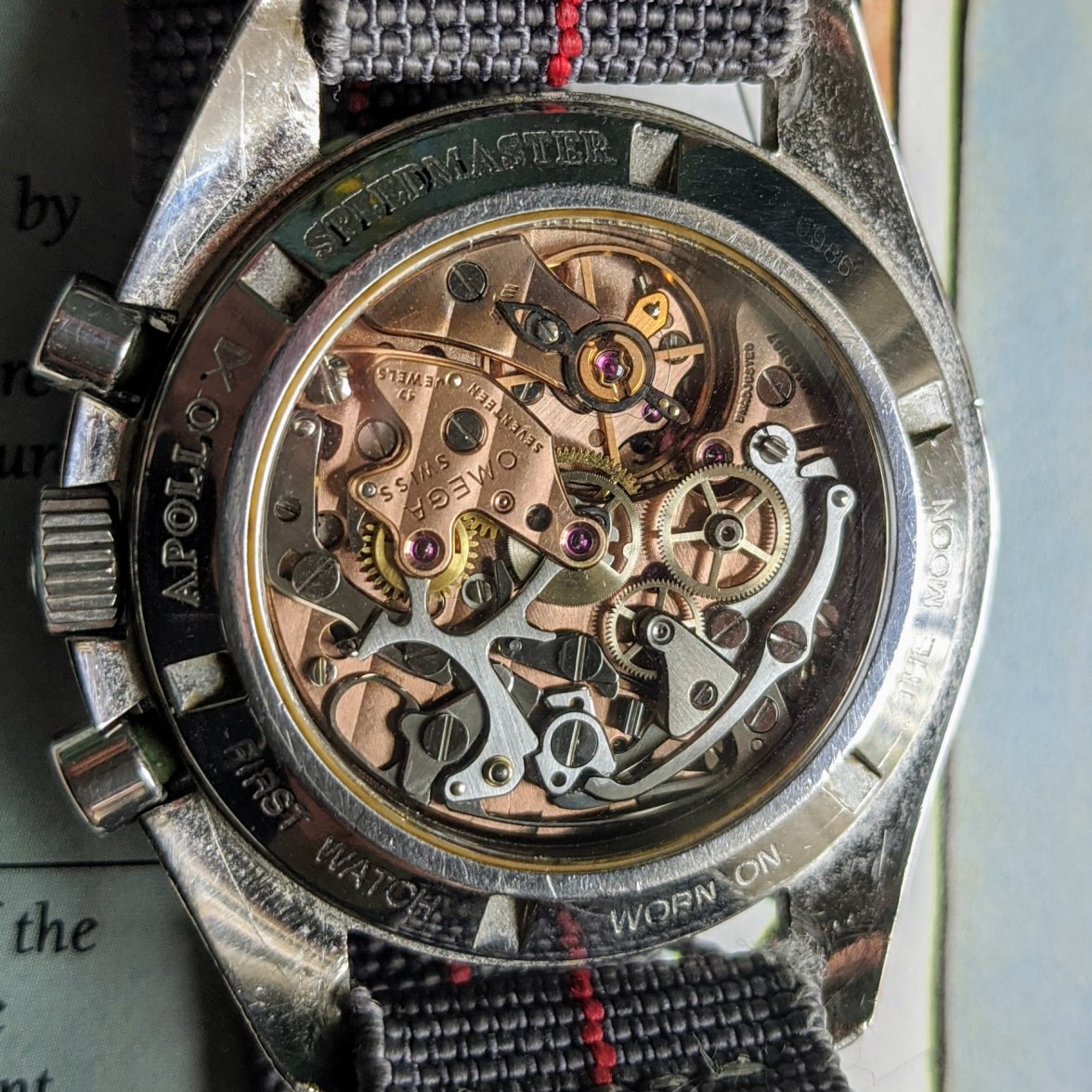 IMG_20200804_090645.jpg IMG_20200804_090645.jpg