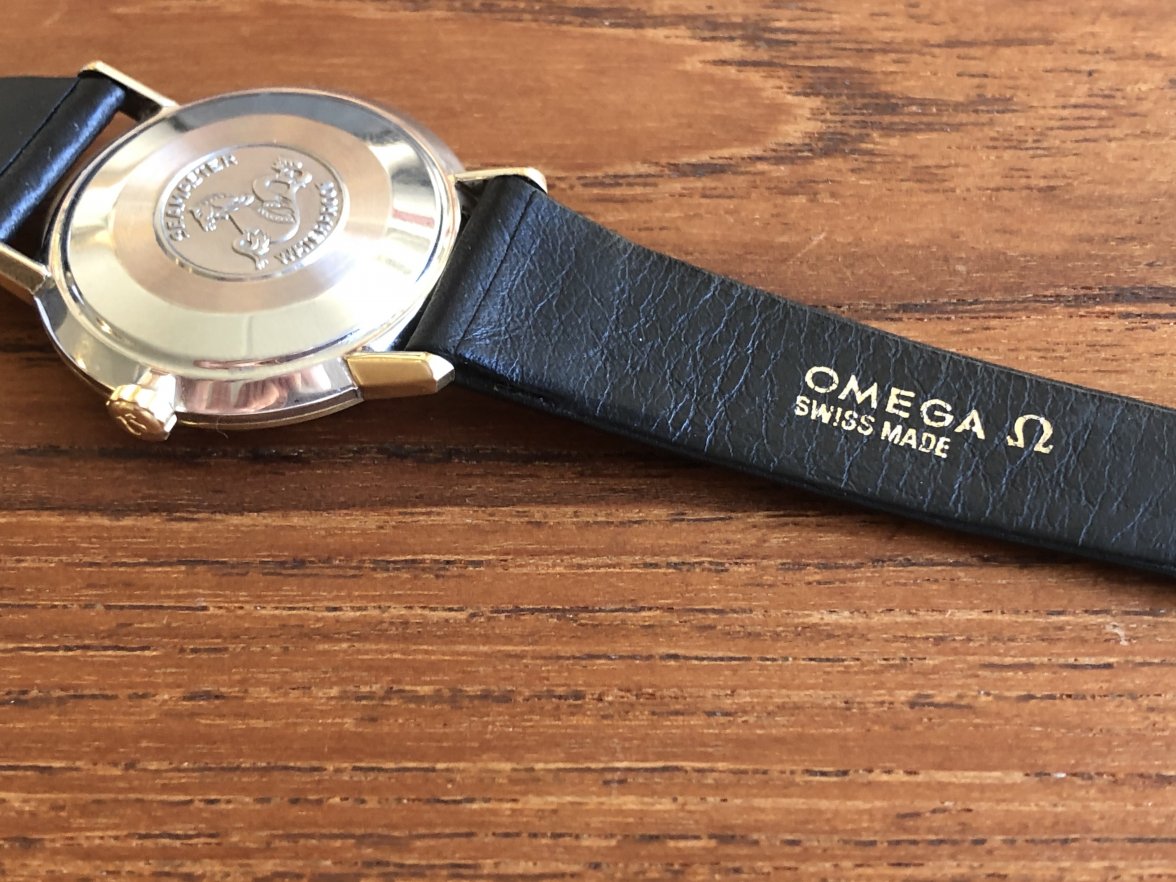 IMG_8143.jpeg IMG_8143.jpeg