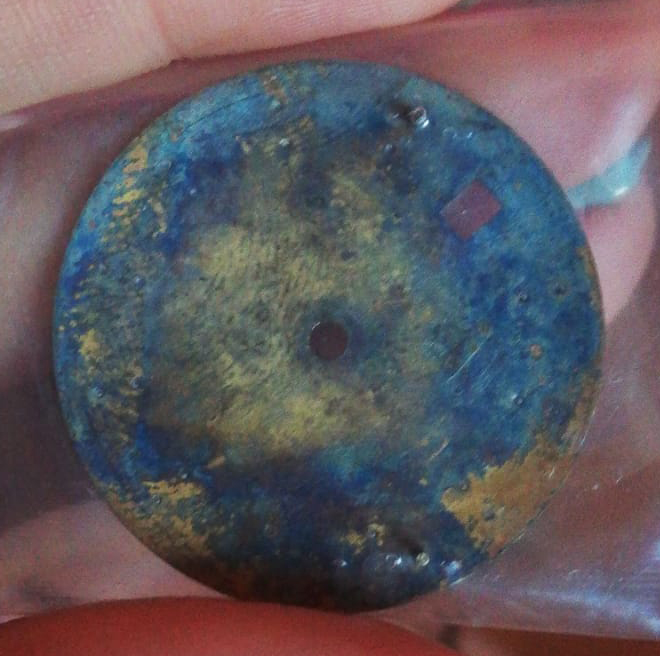 WhatsApp Image 2020-11-03 at 14.49.05.jpeg