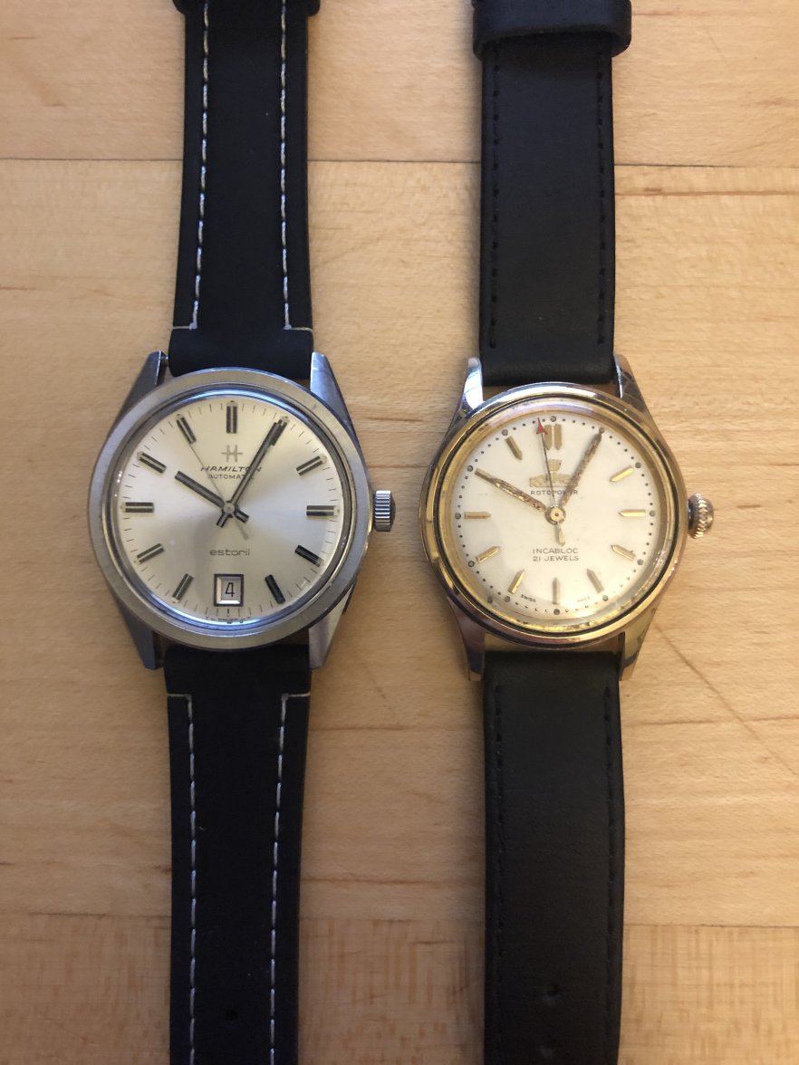 Hamilton and Roamer.jpg