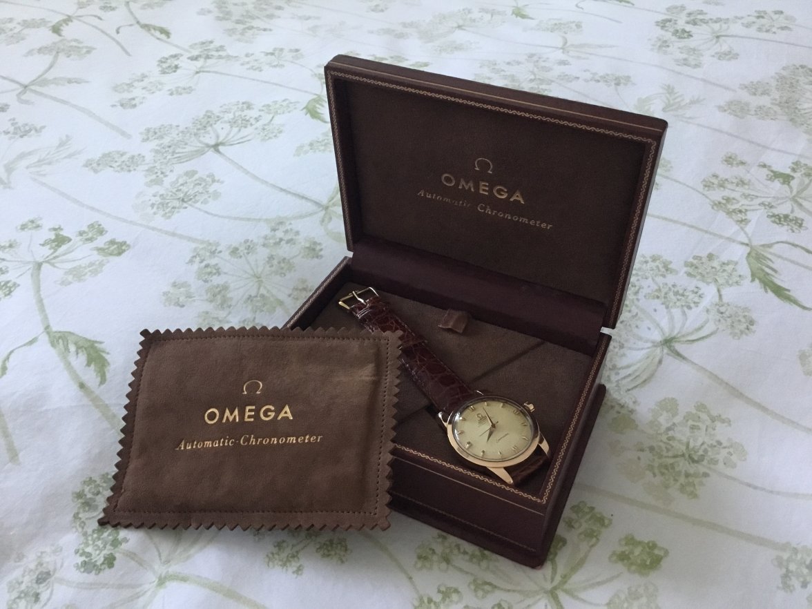 7498087C-AAEC-4295-B09A-DDE5ABCF0106.jpeg 7498087C-AAEC-4295-B09A-DDE5ABCF0106.jpeg