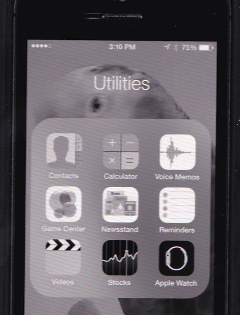 IMG_20150312_0003.jpg IMG_20150312_0003.jpg