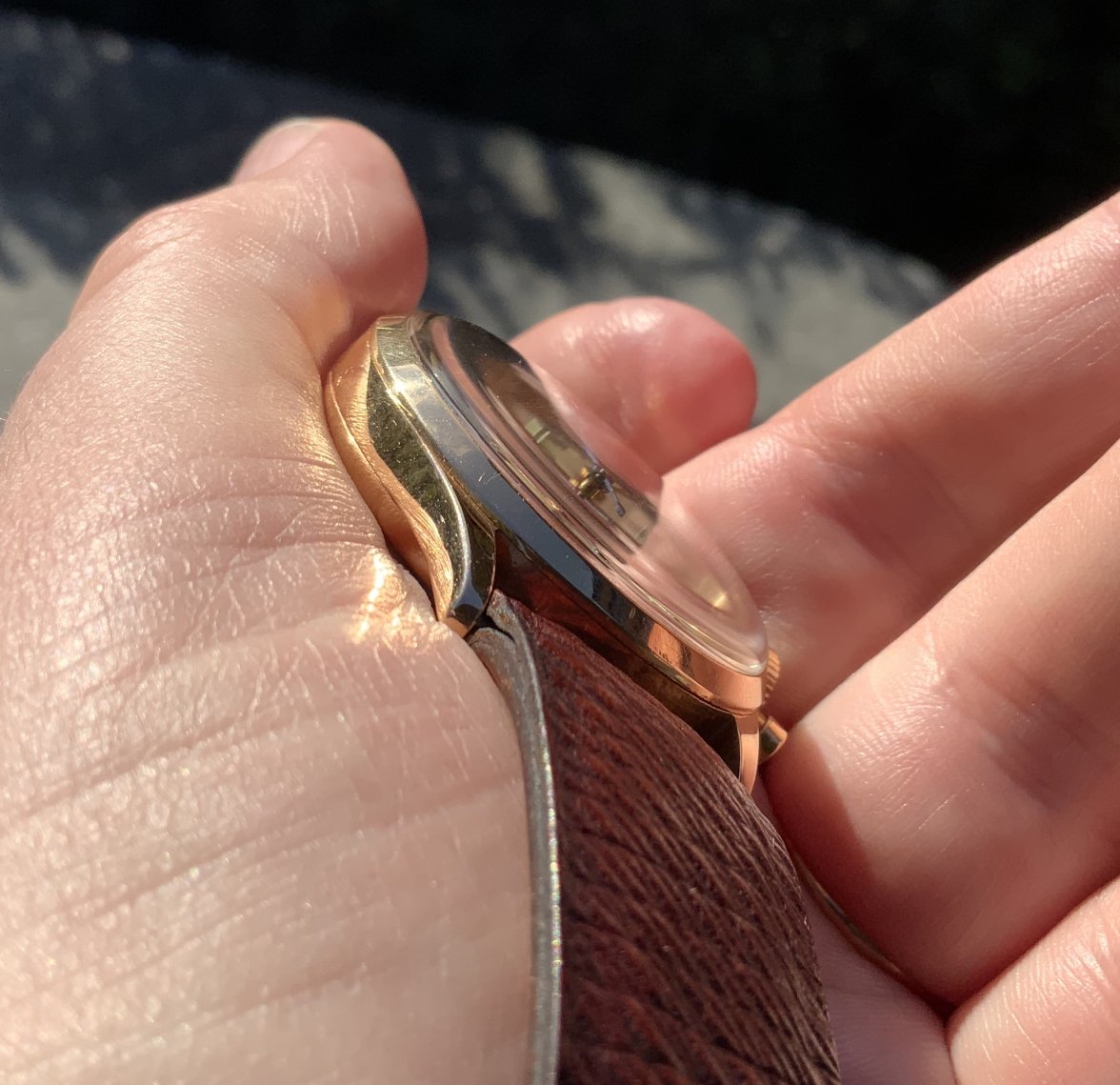 CBCF42EF-4C23-42F2-A432-179CC3E4CEC8.jpeg CBCF42EF-4C23-42F2-A432-179CC3E4CEC8.jpeg