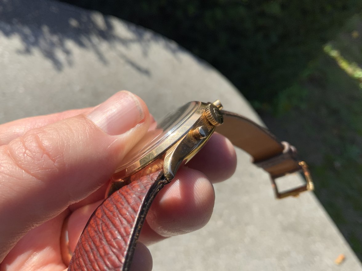 951198AC-0CE9-484A-8AF8-43E4E0E9C978.jpeg 951198AC-0CE9-484A-8AF8-43E4E0E9C978.jpeg