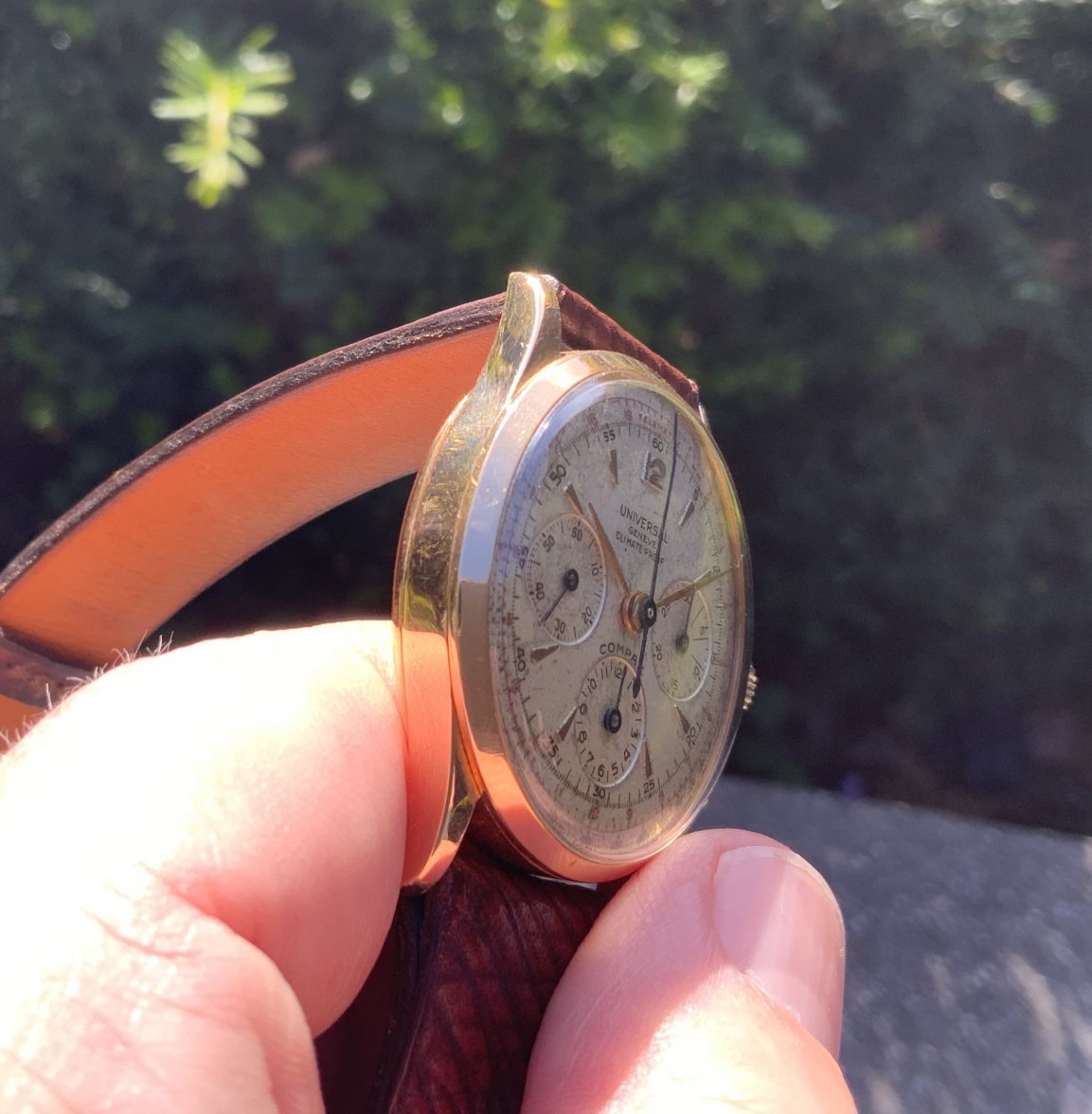 25846212-6579-4726-B2A5-6BC02069FC5E.jpeg 25846212-6579-4726-B2A5-6BC02069FC5E.jpeg