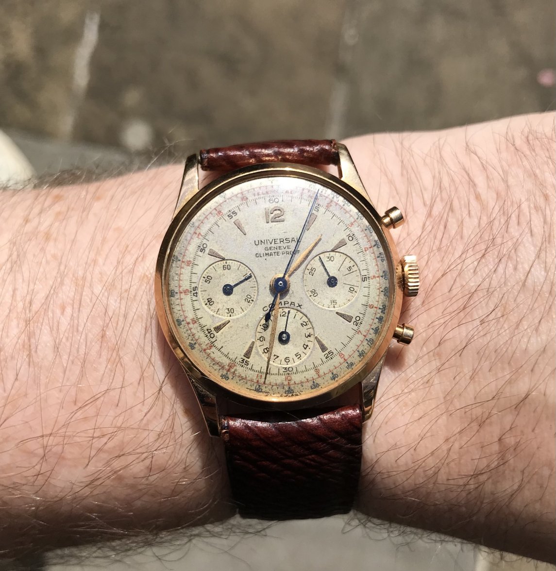 A341F598-1A9E-4235-80B2-431ADB9F24E6.jpeg A341F598-1A9E-4235-80B2-431ADB9F24E6.jpeg