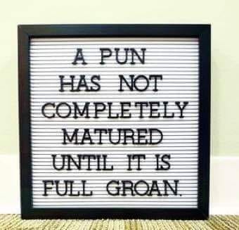 full-groan-pun.jpg