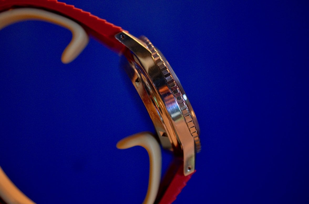 DSC_5844.jpeg DSC_5844.jpeg