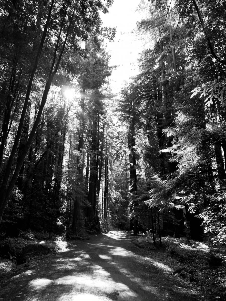 1C18A186-8C5F-45FA-B0BC-FAFD22020AE5.jpeg 1C18A186-8C5F-45FA-B0BC-FAFD22020AE5.jpeg