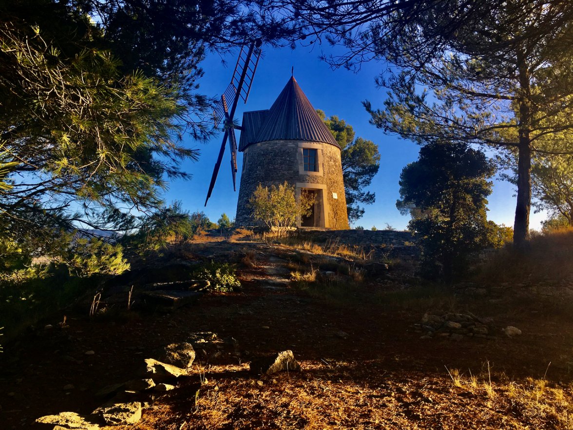 IMG_4374.jpeg IMG_4374.jpeg