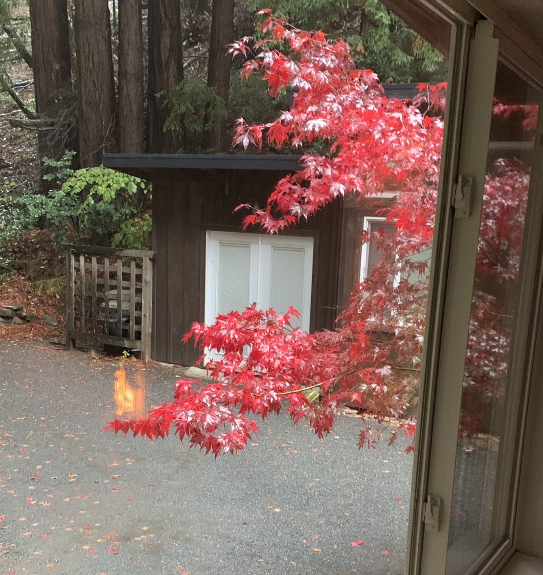 2B2A1FFF-B8BB-45AF-BF7D-3D2DCC94A571.jpeg 2B2A1FFF-B8BB-45AF-BF7D-3D2DCC94A571.jpeg