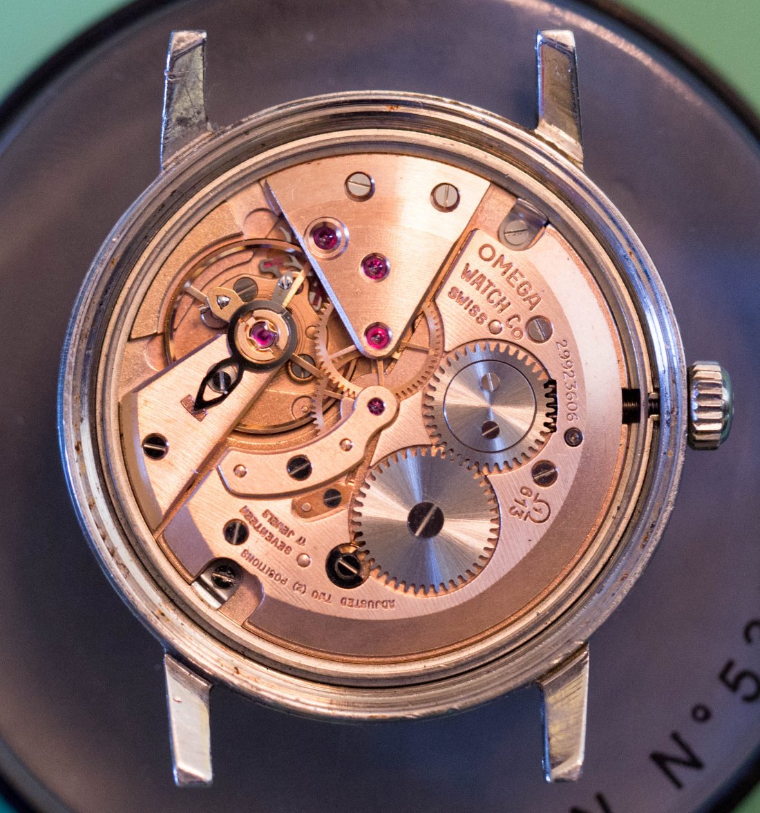 PB152586.jpg PB152586.jpg