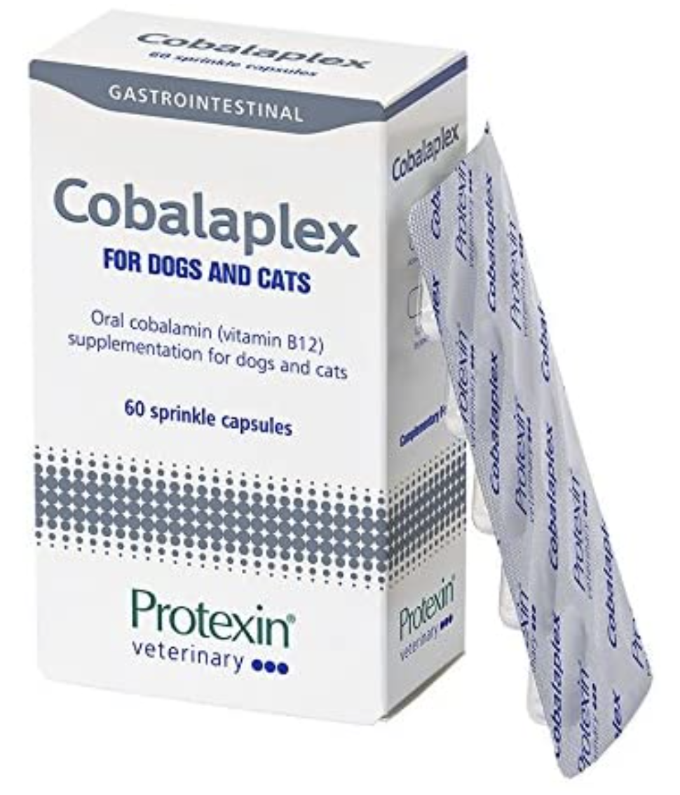 Screenshot 2020-11-19 at 21.47.01.png