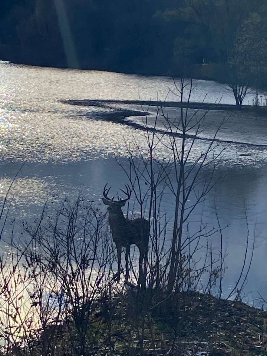 IMG_0750.jpg IMG_0750.jpg