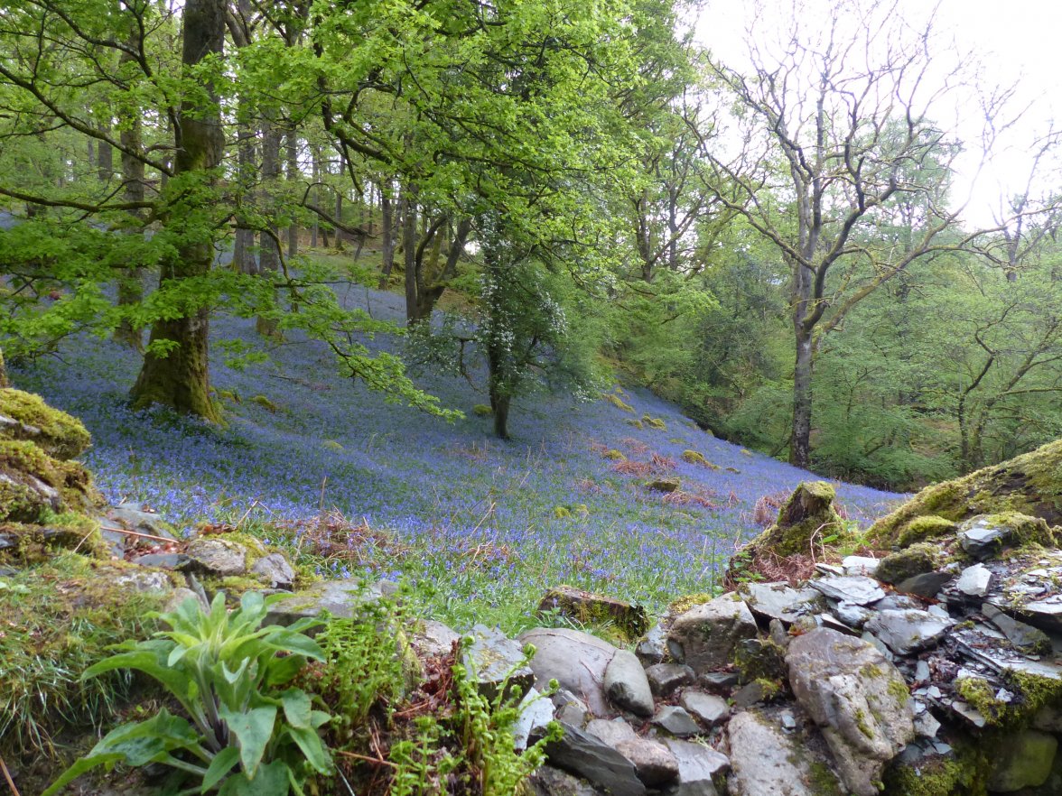 P1030100.JPG P1030100.JPG