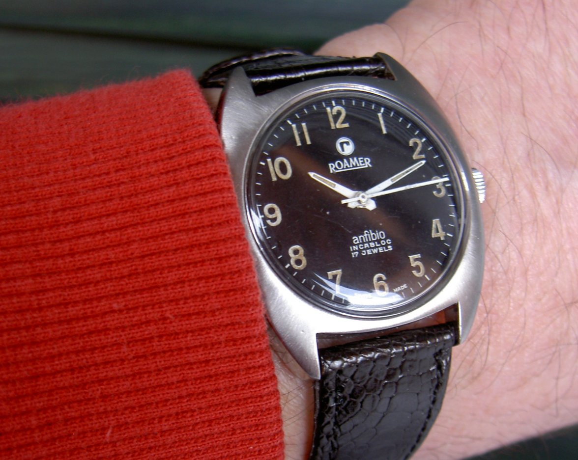 roamer anfibio (4).jpg