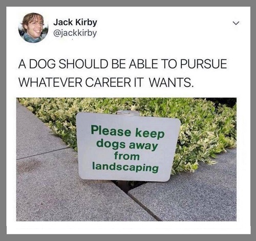 dog-career.jpg