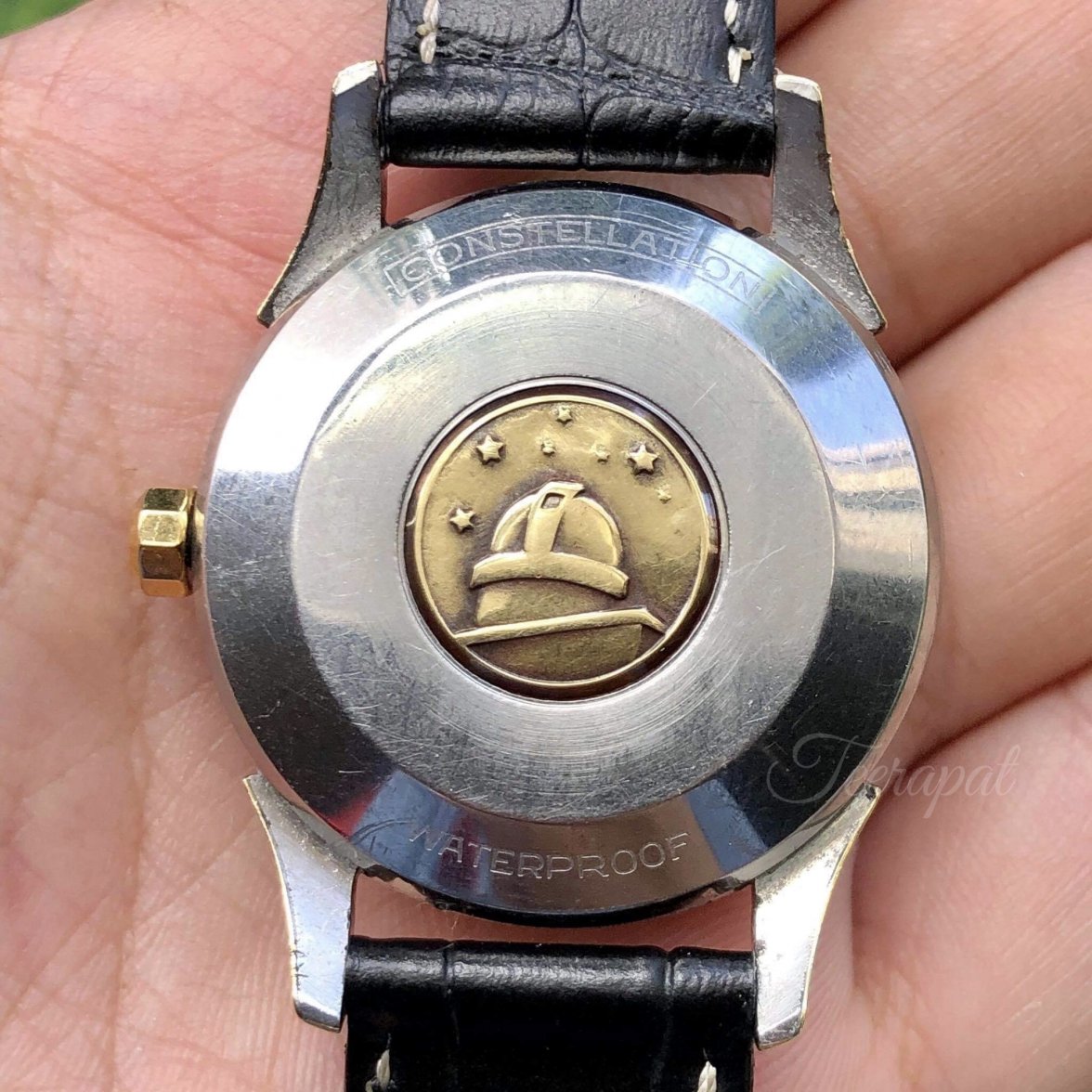 B084CAEB-28AD-40D9-80AD-4BBD12C968AA.jpeg B084CAEB-28AD-40D9-80AD-4BBD12C968AA.jpeg