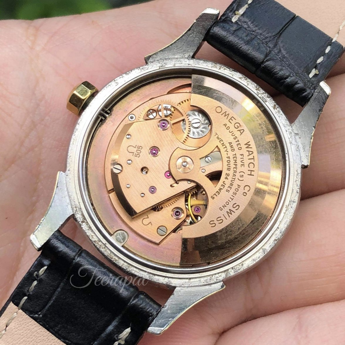 BB709A55-9D8E-4589-8B4B-BD50C0535C1B.jpeg BB709A55-9D8E-4589-8B4B-BD50C0535C1B.jpeg