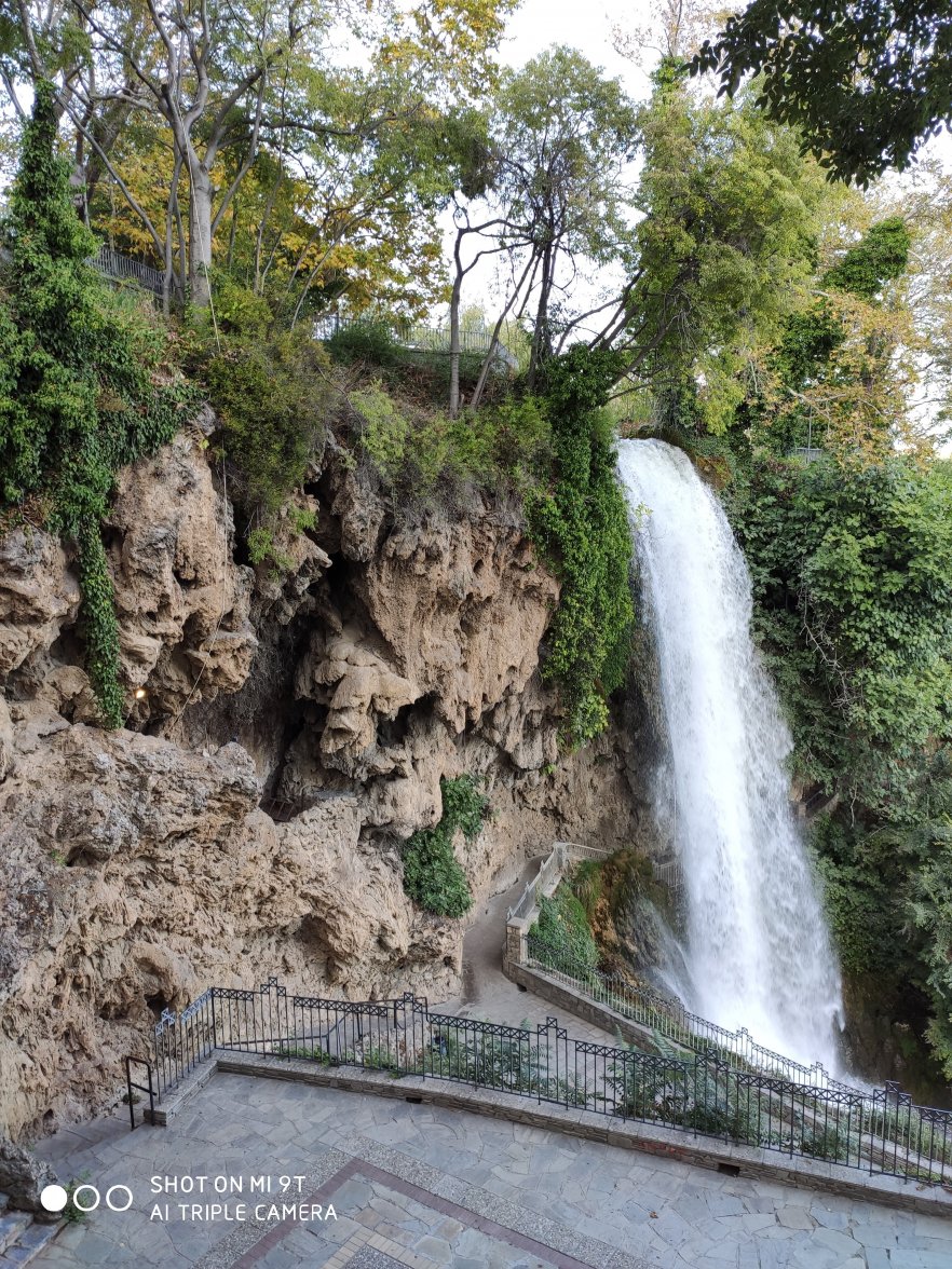 IMG_20201002_173110.jpg IMG_20201002_173110.jpg