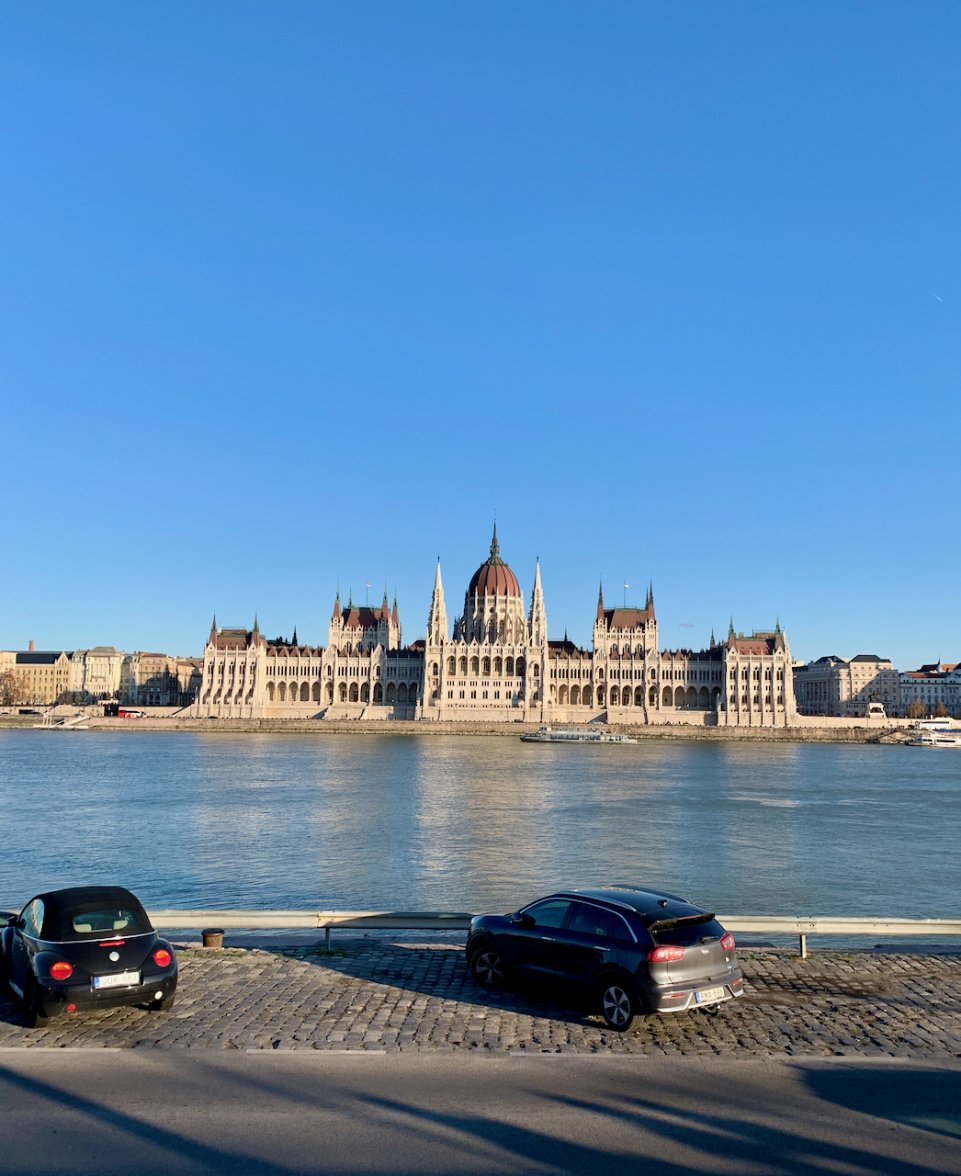 IMG_6218.jpeg IMG_6218.jpeg