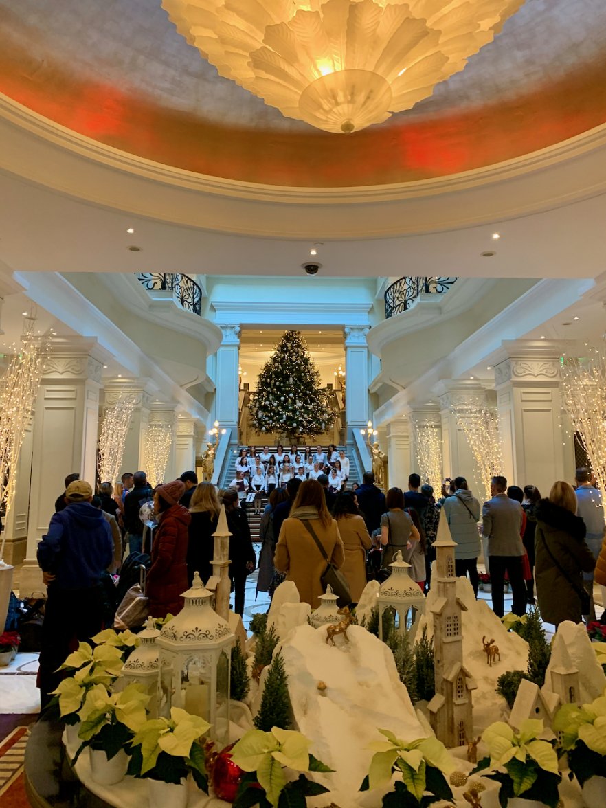 IMG_6270.jpeg IMG_6270.jpeg