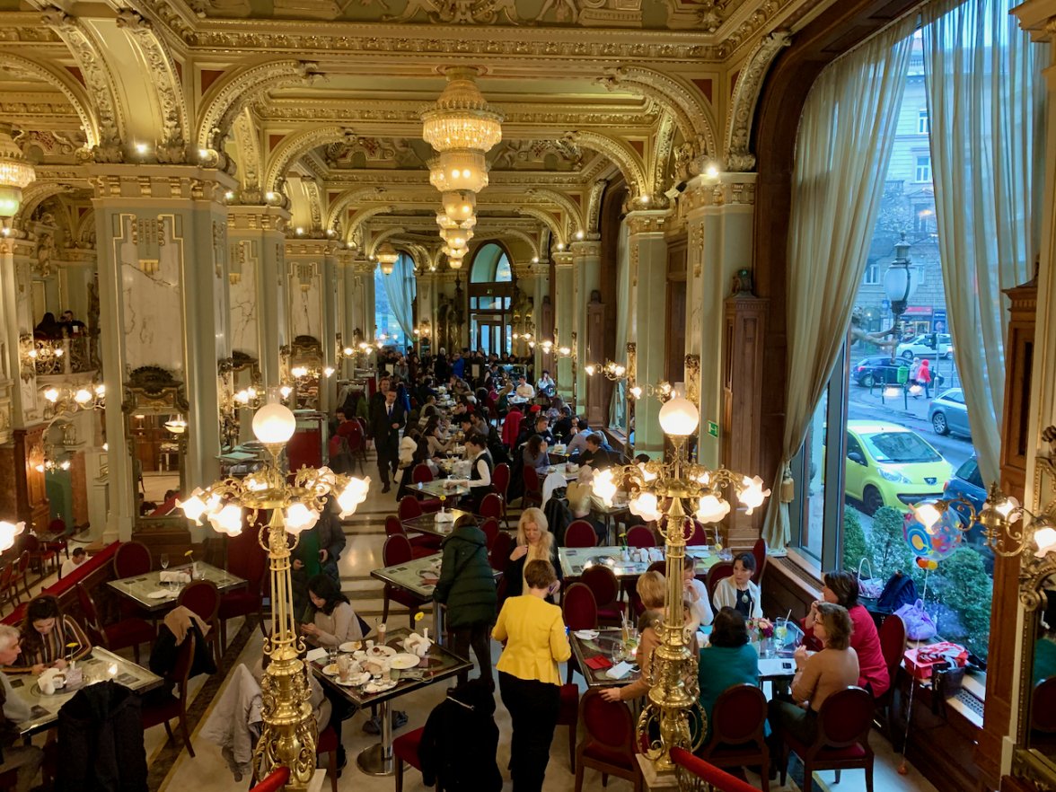 IMG_6024.jpeg IMG_6024.jpeg